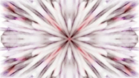 Abstract ornament pattern. Stock Footage 113447506