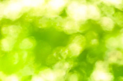Abstract out of focus blurry background 스톡 사진