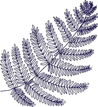 Abstract outlined leaves and branches pattern. Hand drawn black brush paint.. Stock Illustration