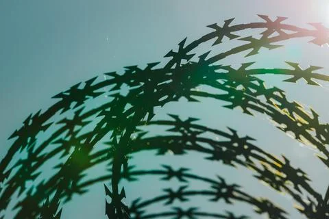 Abstract overlapping shadows of barbed wire strands forming curved patterns.. Stock Photos