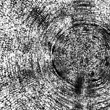 Abstract Overlay Texture. Vector Grunge Texture Stock Illustration