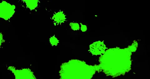 Abstract paint brush stroke shape white ink splattering flowing and washing Видео 252184993