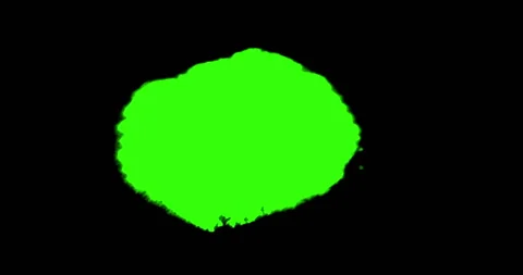 Abstract paint brush stroke shape white ink splattering flowing and washing Stock Footage 254782593