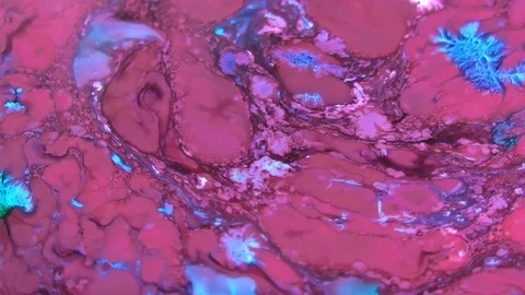 Abstract Paint Demonstration 32 Stock Footage 101717018