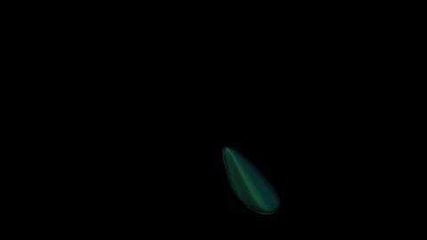 Abstract paint leak liquid lines background \ New quality universal motion Stock Footage 79800249