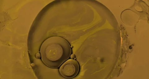 Abstract Paint In Motion Video stock 316389828