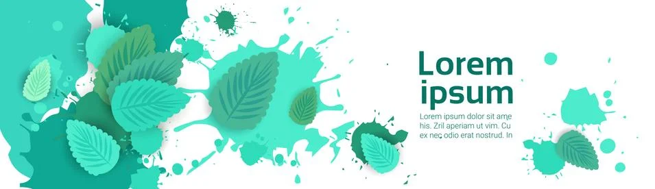 Abstract Paint Splash And Mint Leaf Set Over White Background For Copy Space And Stock Illustration