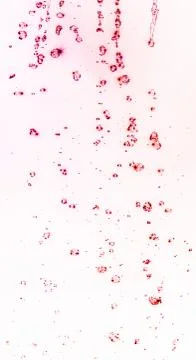 Abstract paint splatter Stock Photos