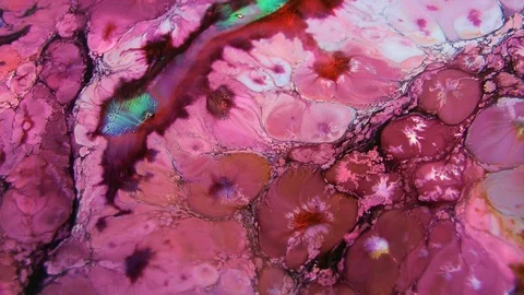 Abstract Paint Texture Background 58 Stock Footage 105724242