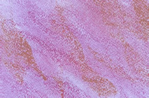 Abstract painted surface .Gradient. Color pastel splashes Sample Surface for  Stock Illustration