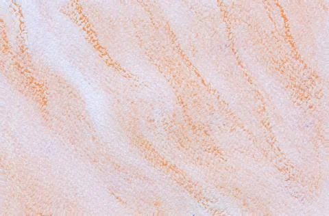 Abstract painted surface .Gradient. Color pastel splashes Sample Surface for  Stock Illustration