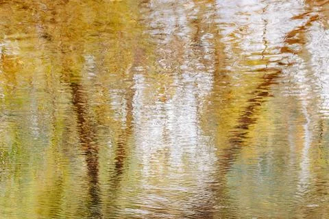 Abstract painterly photo of fall trees reflected in water Stock Photos