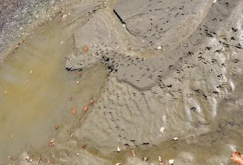 Abstract paiting Stock Photos