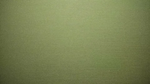 Abstract Pale Olive Green Canvas Fabric Background with Woven Material Stock Footage 341472684
