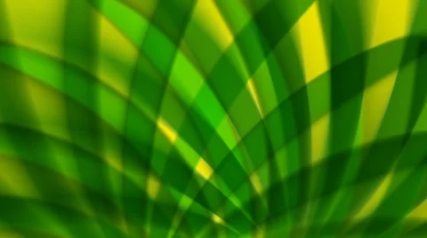 Abstract Palm Fronds Loop Stock Footage