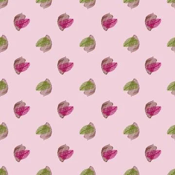 Abstract palm leaf seamless pattern with hand drawn foliage print. Simple Jun Illustrazione stock