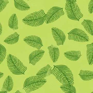 Abstract palm leaf seamless pattern with hand drawn foliage print. Simple Jun Illustrazione stock