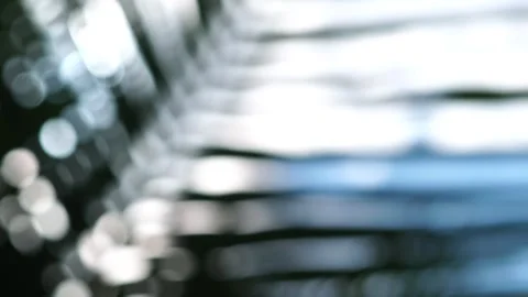 Abstract Palm Motion Stock Footage 327551132