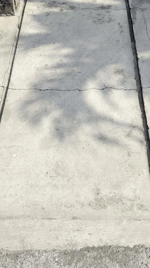 Abstract Palm Tree Shadow on Sunlit Concrete Ground Stock Footage 346739404