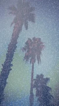 Abstract palm trees Stock Photos