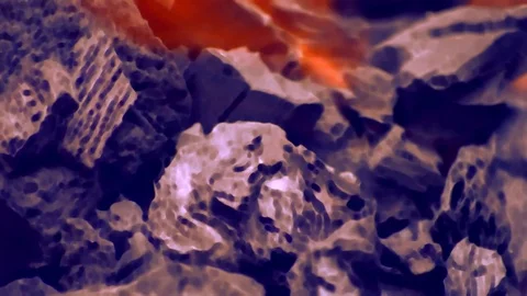 Abstract Paper Fire Background Stock-Footage 77677787