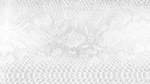 Abstract parallax background texture of white snake skin python pattern styli Stock Footage 127722115