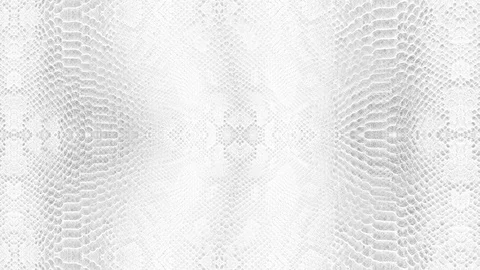 Abstract parallax background texture of white snake skin python pattern styli Stock Footage 127722127