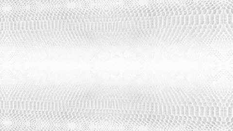 Abstract parallax background texture of white snake skin python pattern styli Stock Footage 127722254