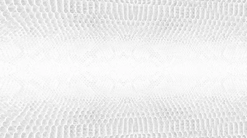 Abstract parallax background texture of white snake skin python pattern styli Stock Footage 127722256