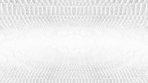 Abstract parallax background texture of white snake skin python pattern styli Stock Footage 127722257
