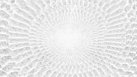 Abstract parallax background texture of white snake skin python pattern styli Stock Footage 127722301