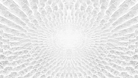 Abstract parallax background texture of white snake skin python pattern styli Stock Footage 127722308