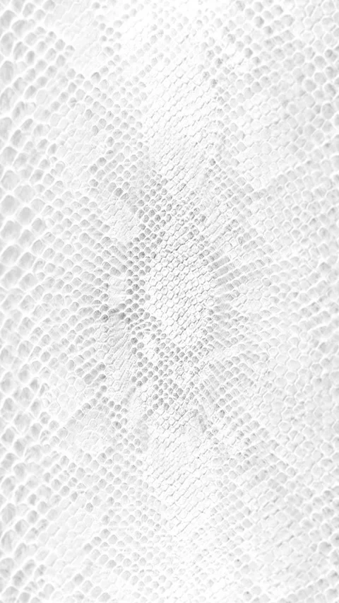 Abstract parallax background texture of white snake skin Vertical video Stock Footage 228048982