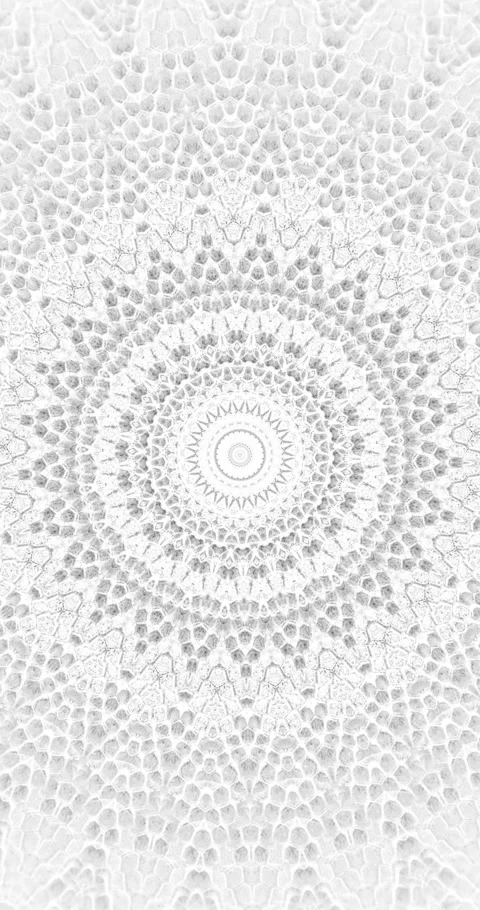 Abstract parallax background texture of white snake skin Vertical video Stock Footage 228049463