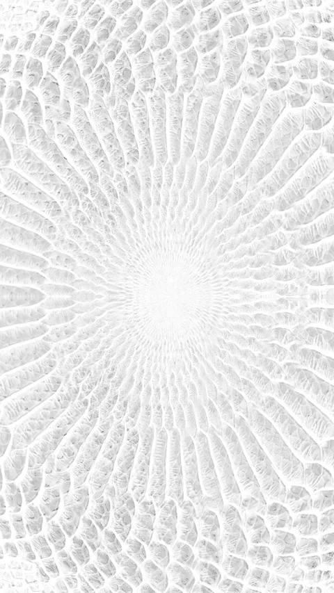 Abstract parallax background texture of white snake skin Vertical video Stock Footage 228050124