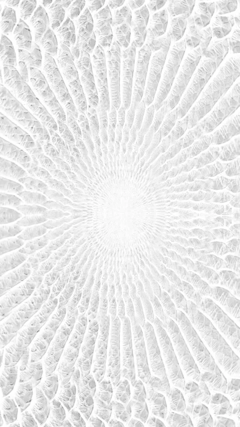 Abstract parallax background texture of white snake skin Vertical video Stock Footage 228050132