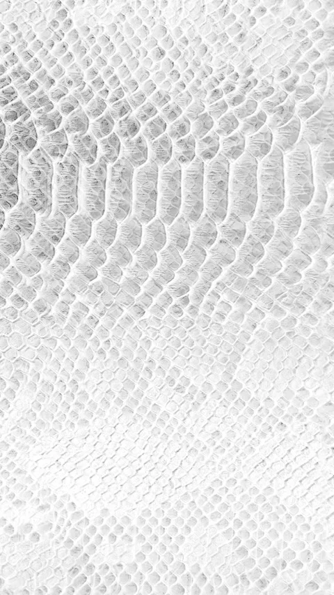 Abstract parallax background texture of white snake skin Vertical video Stock Footage 228050991