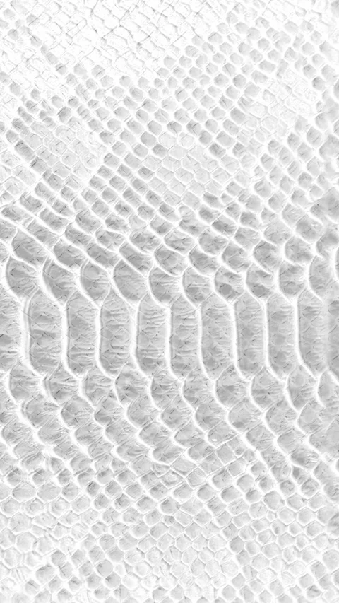 Abstract parallax background texture of white snake skin Vertical video Stock Footage 228051010