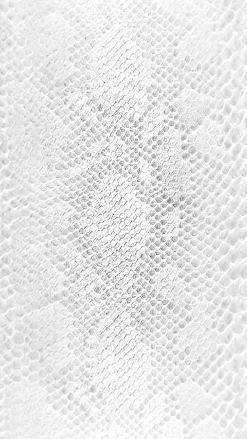 Abstract parallax background texture of white snake skin Vertical video Stock Footage 228051018