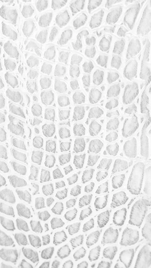 Abstract parallax background texture of white snake skin Vertical video Stock Footage 228051075