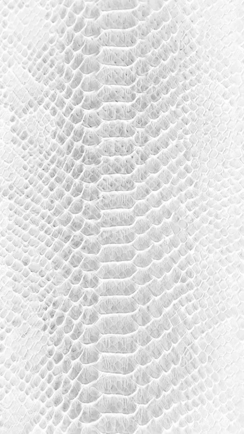 Abstract parallax background texture of white snake skin Vertical video Stock Footage 228051083