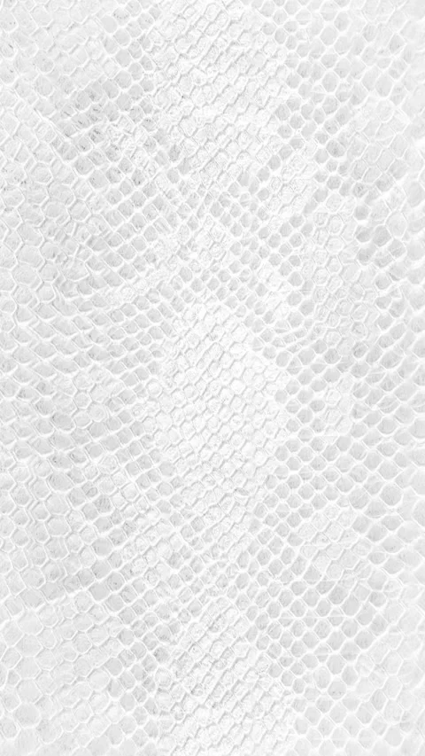 Abstract parallax background texture of white snake skin Vertical video Stock Footage 228051525