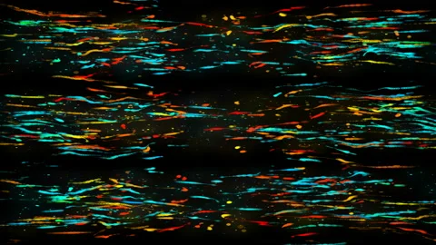 Abstract Particle 4K 05 Stock Footage 99049939