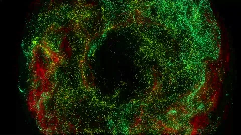 Abstract Particle Background Animation 03 Stock Footage 245340129