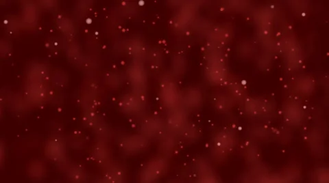 Abstract particle background, red color Stock Footage 36148229