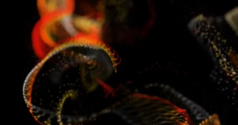 Abstract Particle Background Slow Motion. 4k animatiom footage Stock Footage 275752215