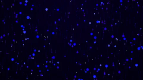 Abstract Particle Backgrounds Dark Blue Stock-Footage 151349354