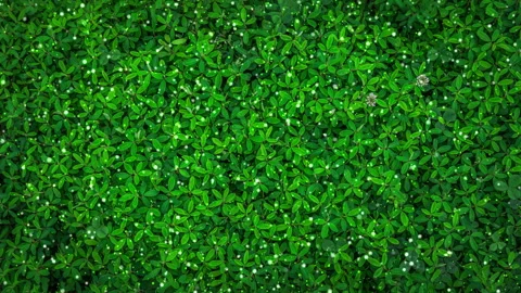 Abstract particle effects with leaf background hues Video stock 244781057