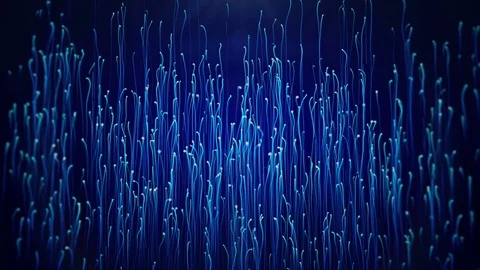 Abstract particle growing. Stock Footage 77094649