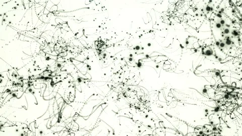 Abstract Particle Lines White Background Stock-Footage 218986053